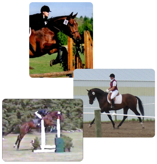 Tracy Dopko - Daventry Appraisal Services